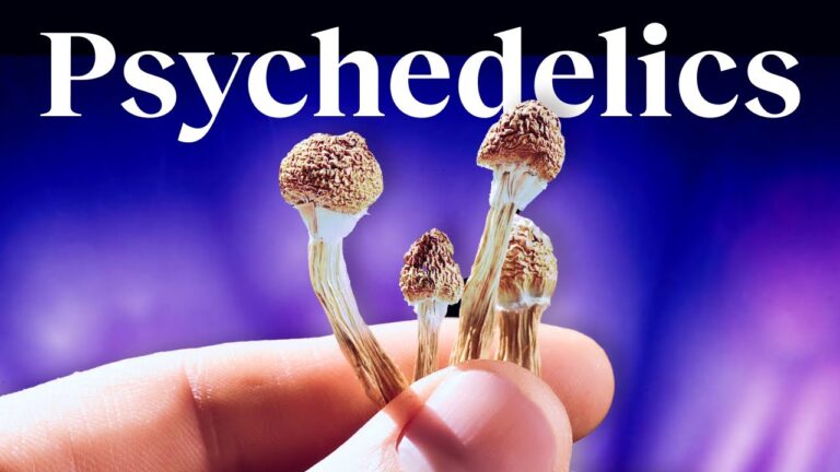 Everything You Wanted to Ask About Psychedelics: A Johns Hopkins Psychedelics Researcher Answers 24 Questions in 2 Hours