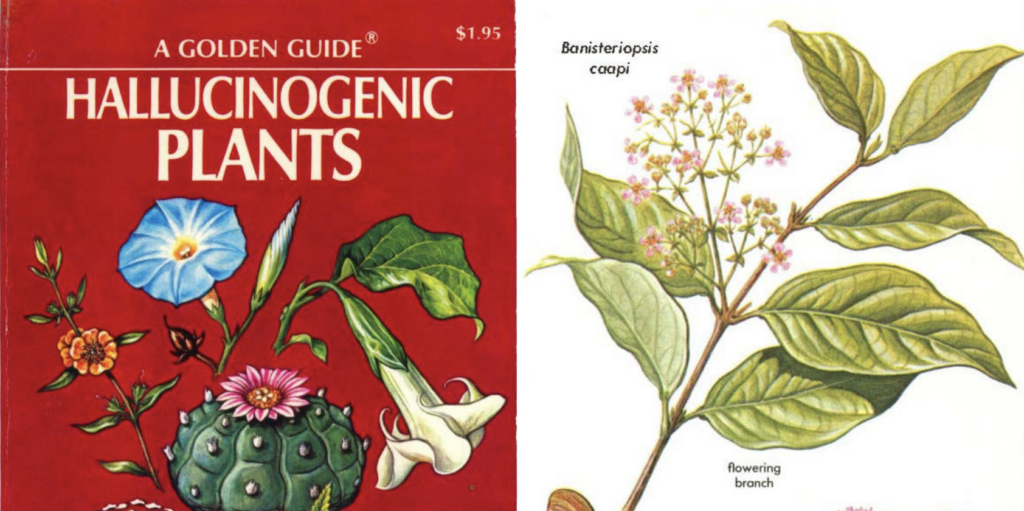 The Golden Guide to Hallucinogenic Plants: Explore the 1977 Illustrated Guide Created by Harvard’s Groundbreaking Ethnobotanist Richard Evan Schultes