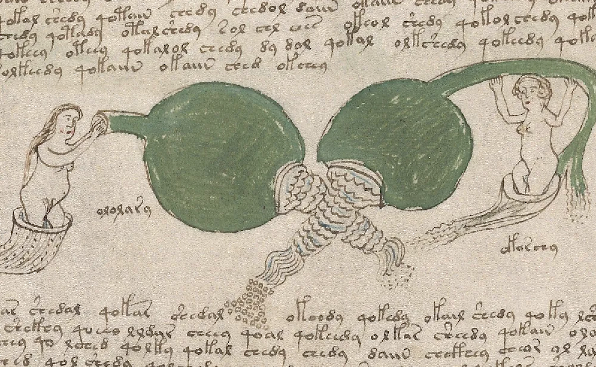 Explore a Digitized Edition of the Voynich Manuscript, “the World's Most  Mysterious Book
