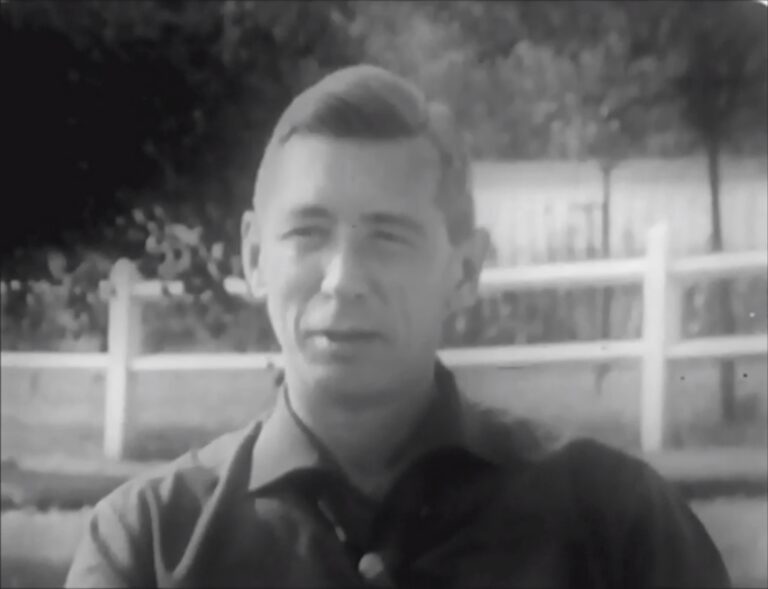 Did Tintin Creator Hergé Collaborate with the Nazis? A Historical Investigation