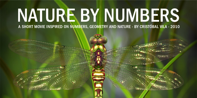 nature by numbers by cristobal vila essay