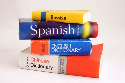 online programs to learn spanish reddit