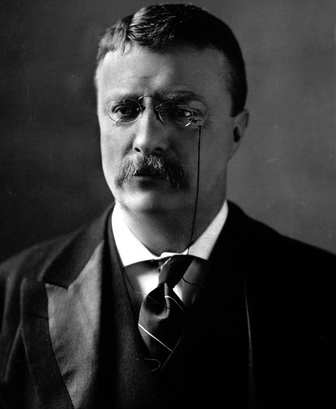 Theodore_Roosevelt_circa_1902