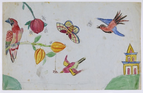 darwin Children's drawing