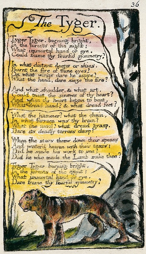 Songs_of_Innocence_and_of_Experience_copy_L_object_36_The_Tyger_1795