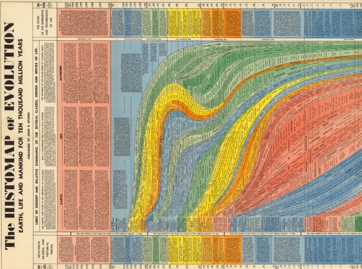 10 Million Years of Evolution Visualized in an Elegant, 5-Foot Long Infographic from 1931