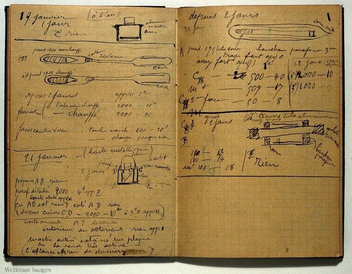 marie curie notebook