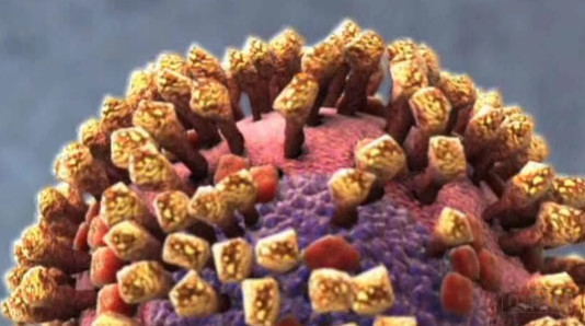 How a Virus Invades Your Body: An Eye-Popping, Animated Look | Open Culture