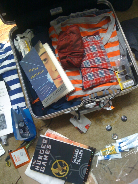 Patti Smith Suitcase