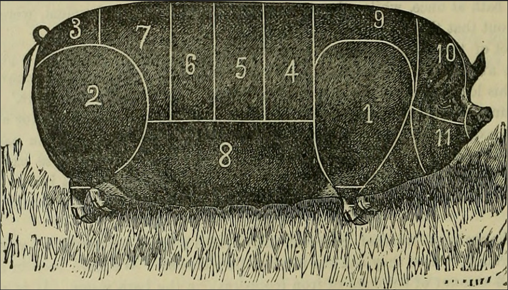 American Farmer Library 1882