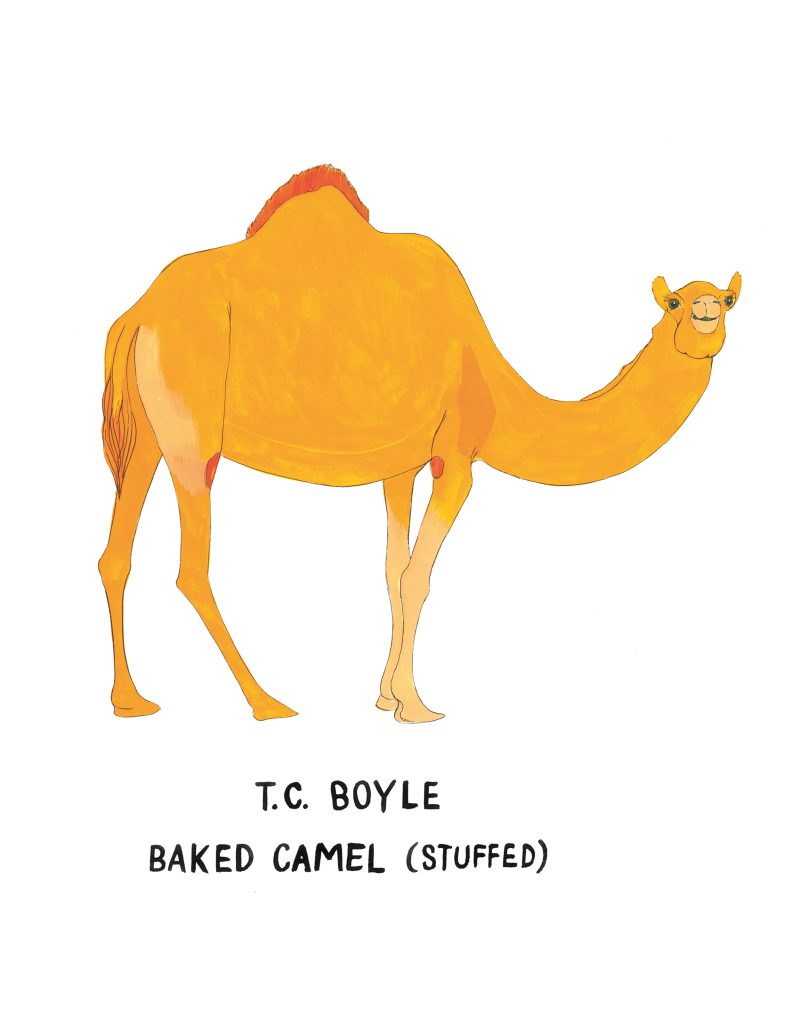 Camel Drawing Tutorial – Tim's Printables