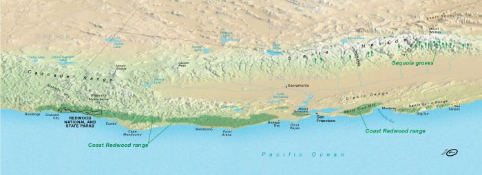 redwood-range-map